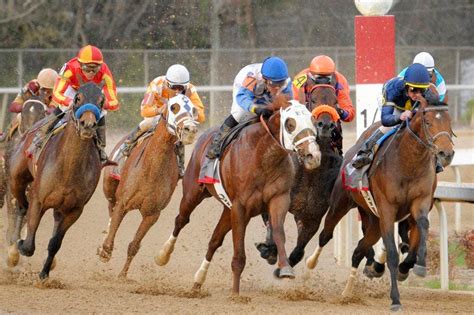 redzel stakes odds|Redzel 2024 Field, Odds, Results, Tips .